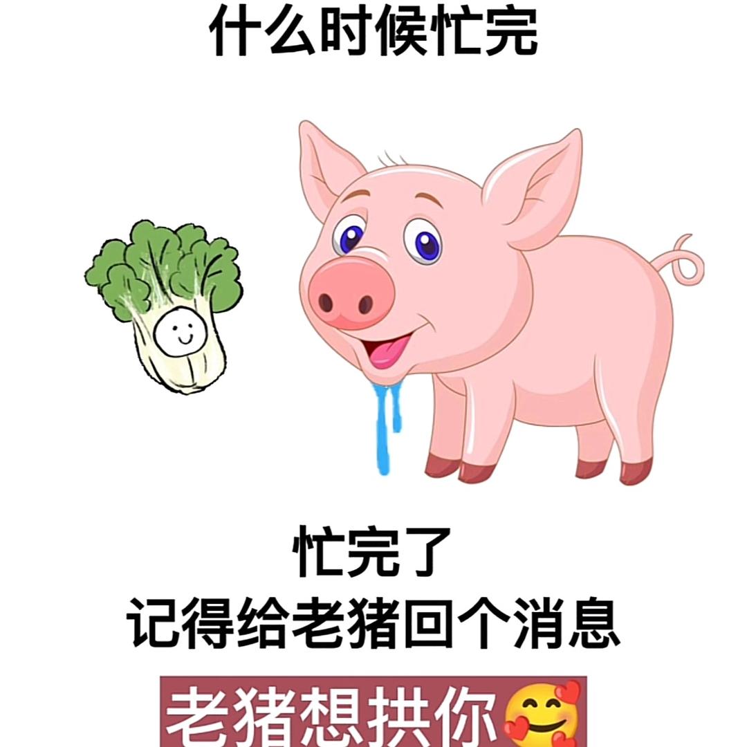 云南老憨宝