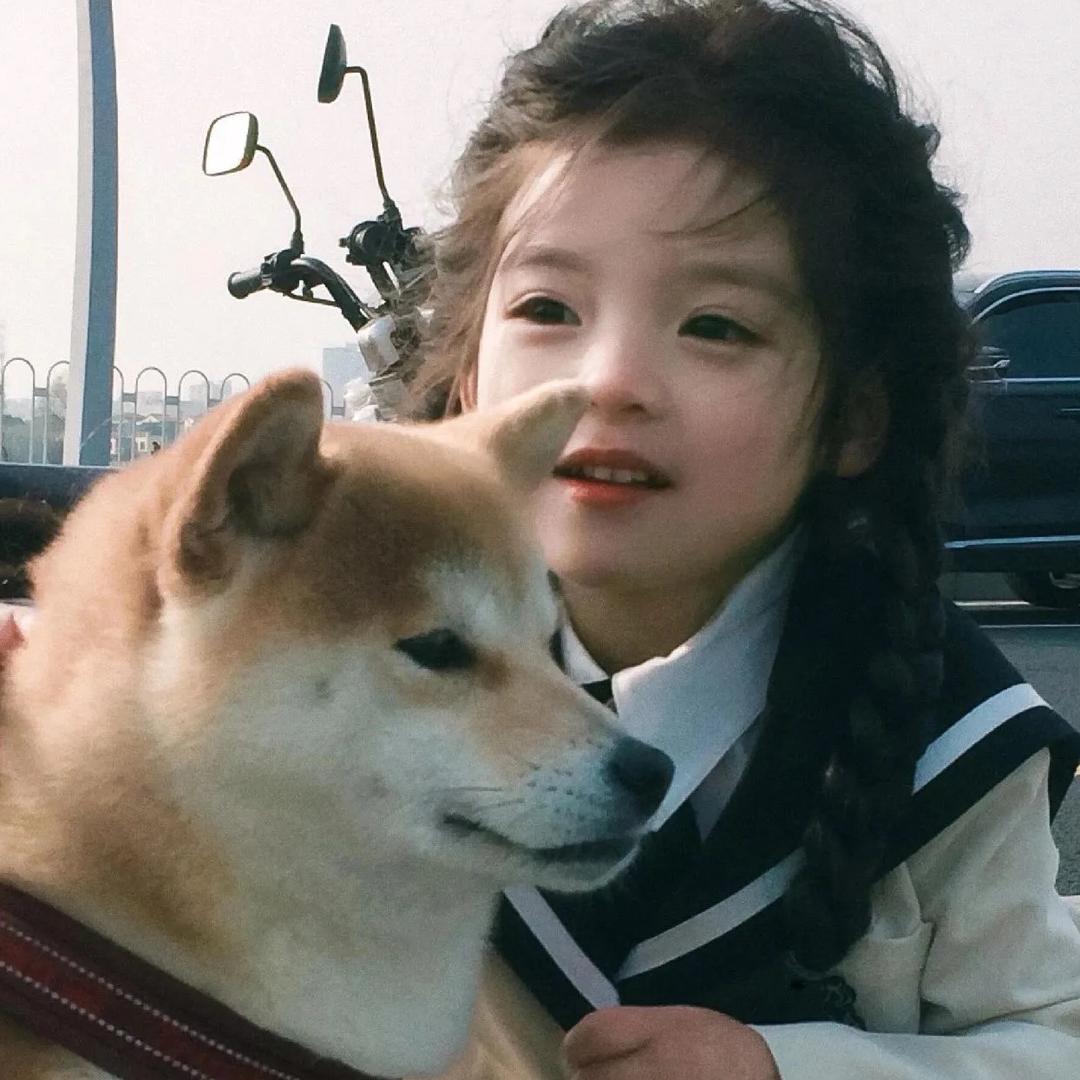 南风知我意