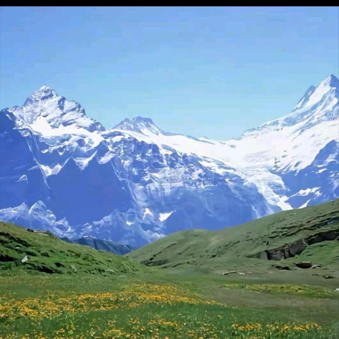 专业生产塑料托盘