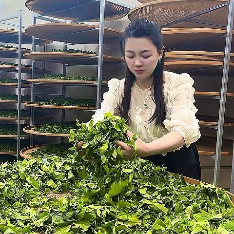 顶级茶茗滴滴香