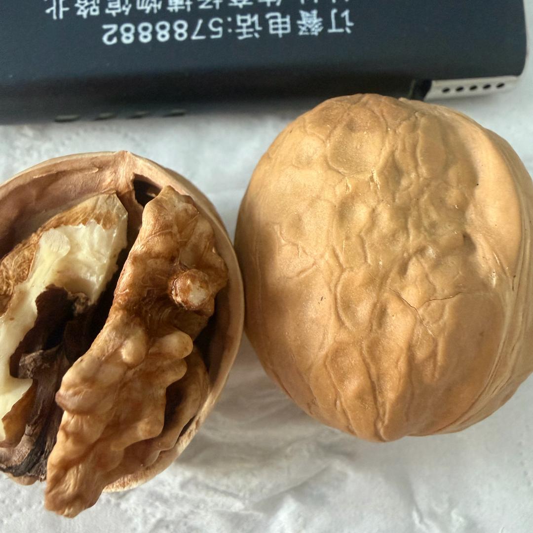 绥北辽原