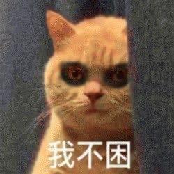 yy