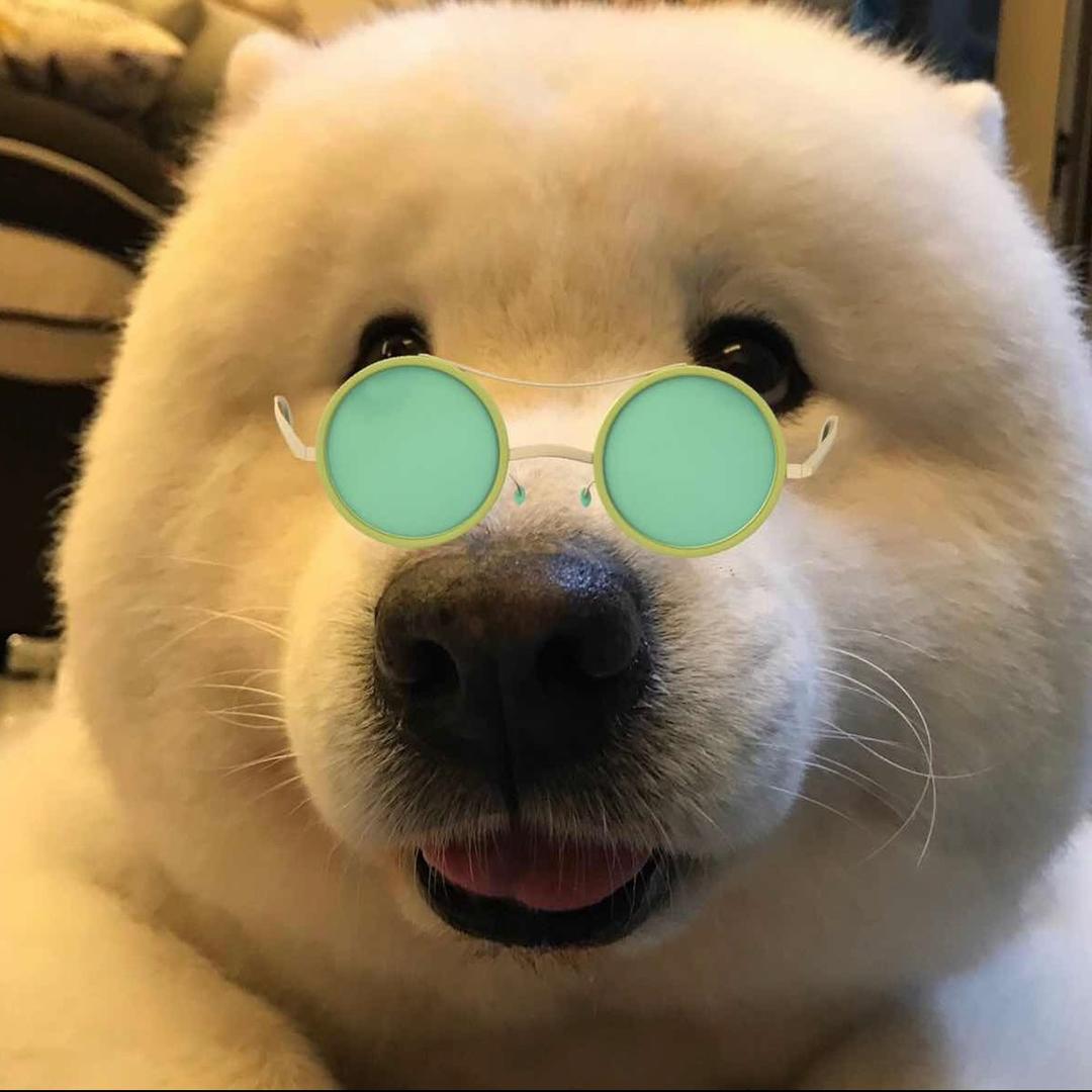 讨喜寶子