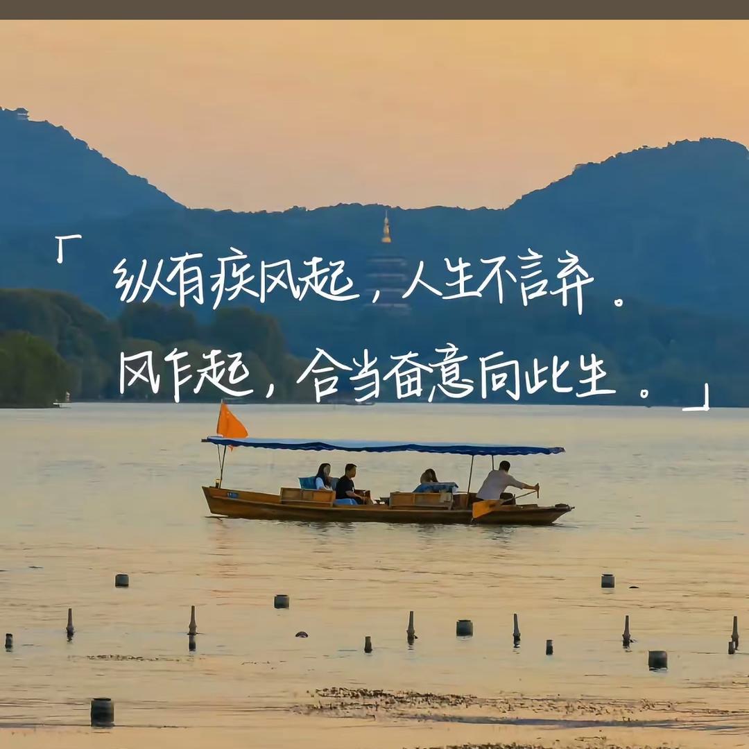 云顶（金铲）堵怪