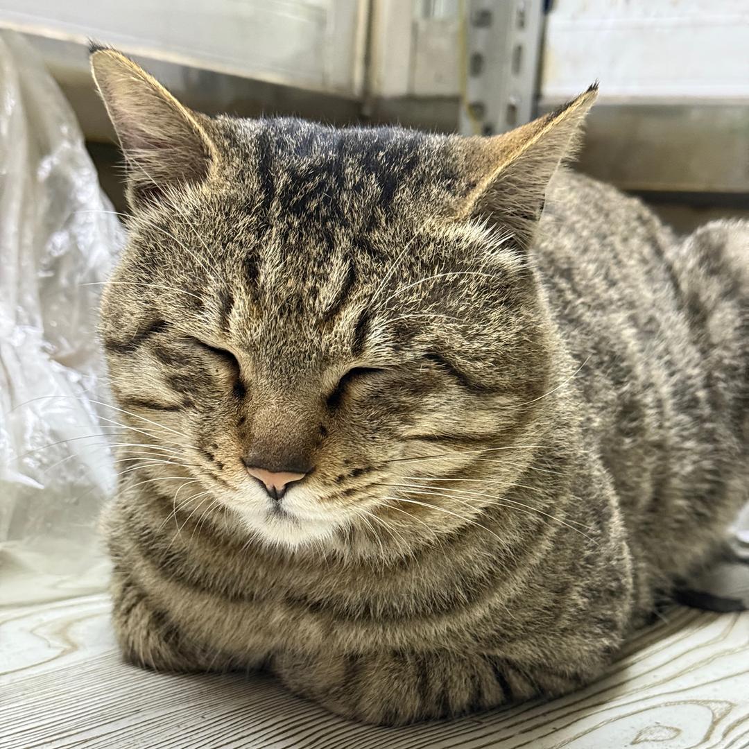 我勒个逗