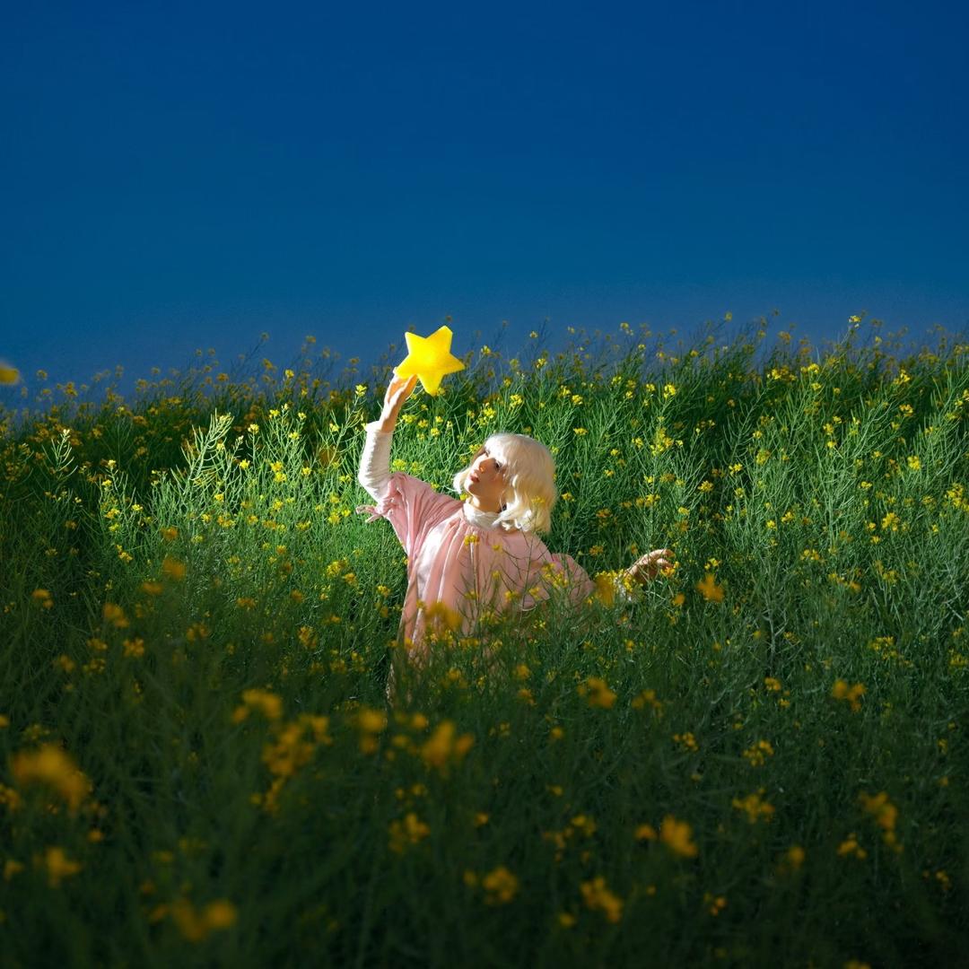 爱喝绿茶的小猫
