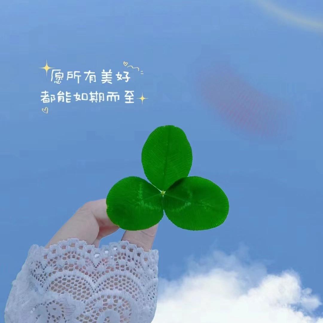 向阳而生