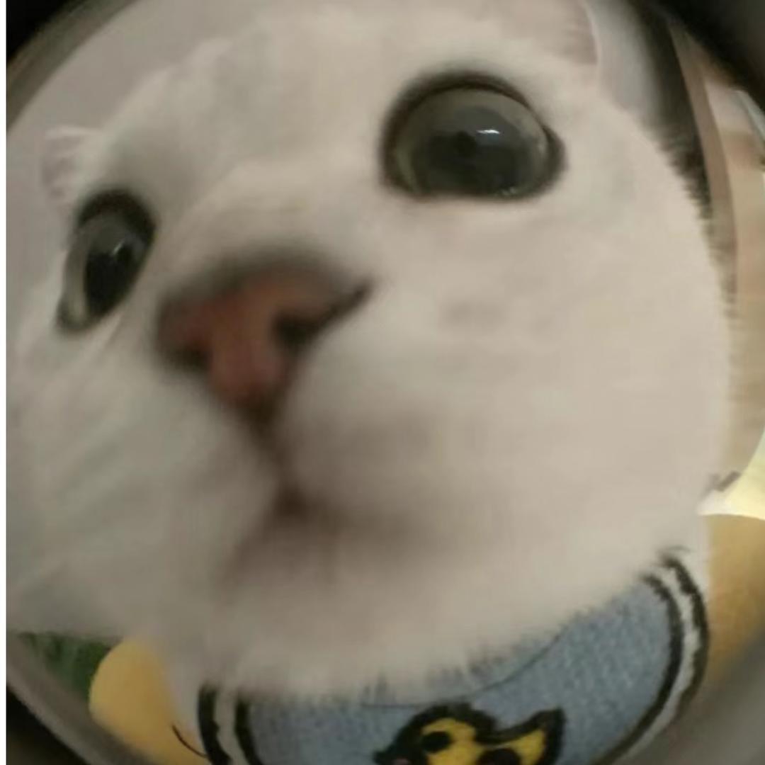 管理员