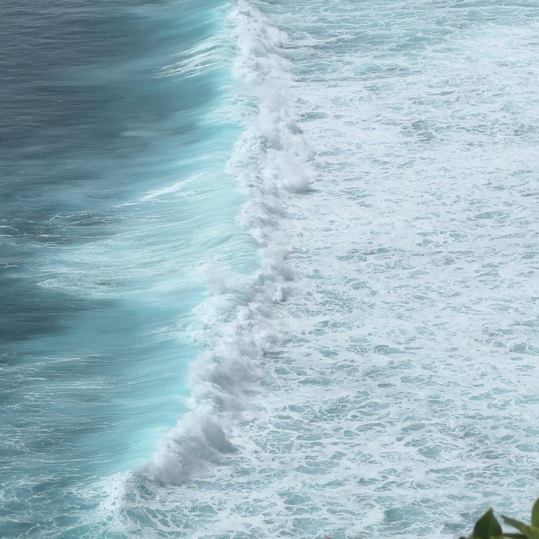 求海洋Ocean