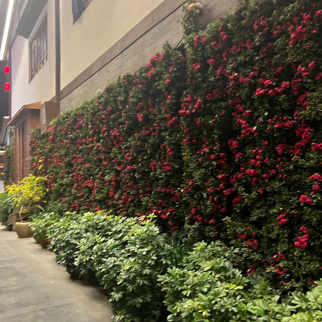 东莞市东隆硅胶