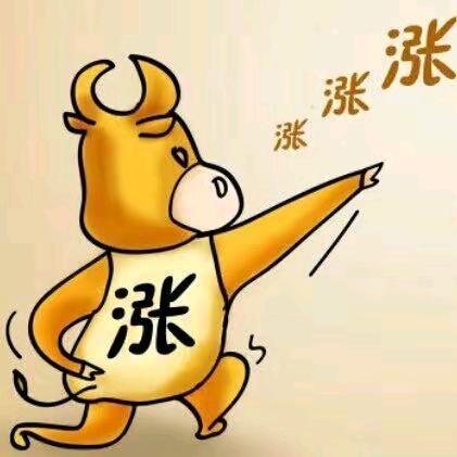 炒股养家