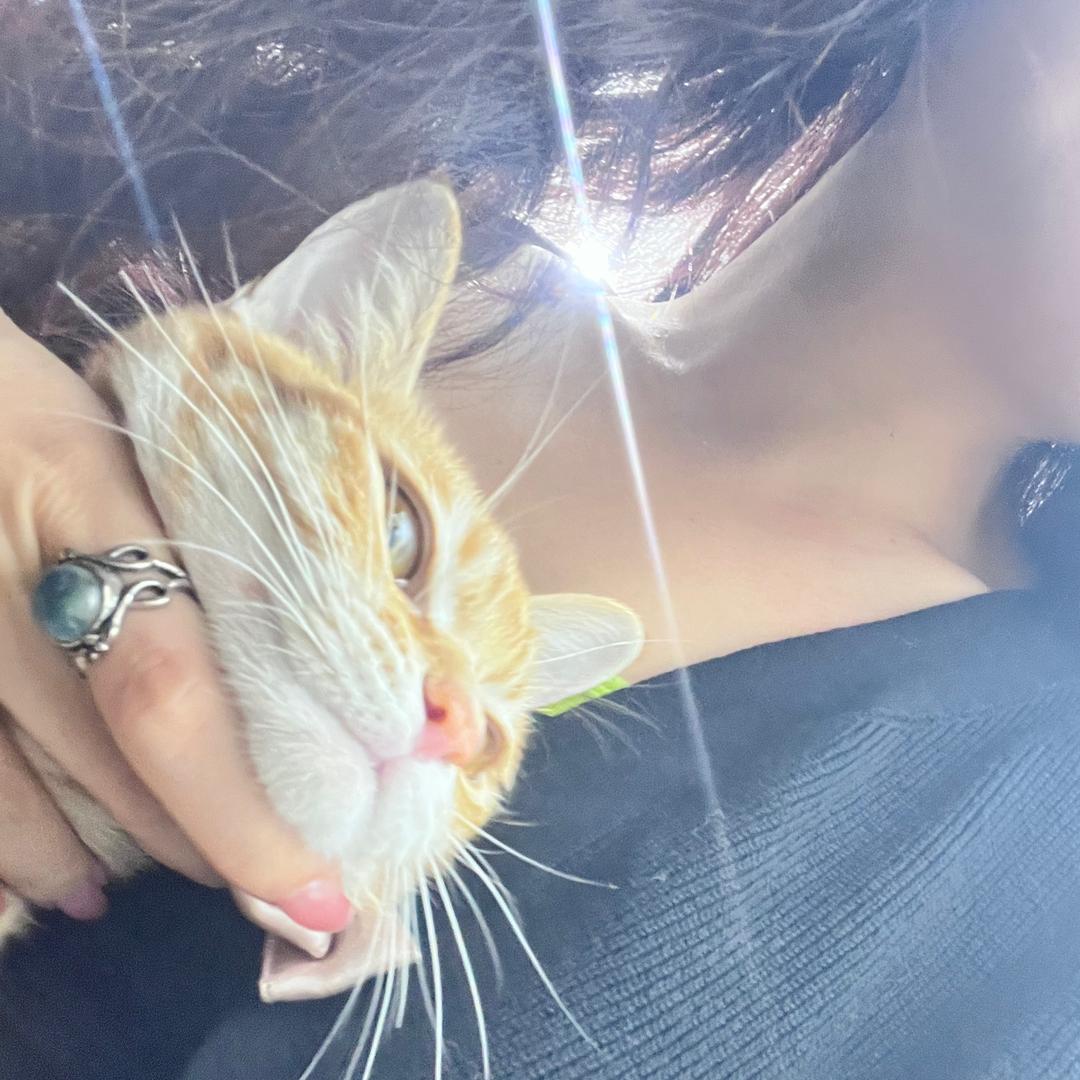 胖胖是只🐰多多是只🐱