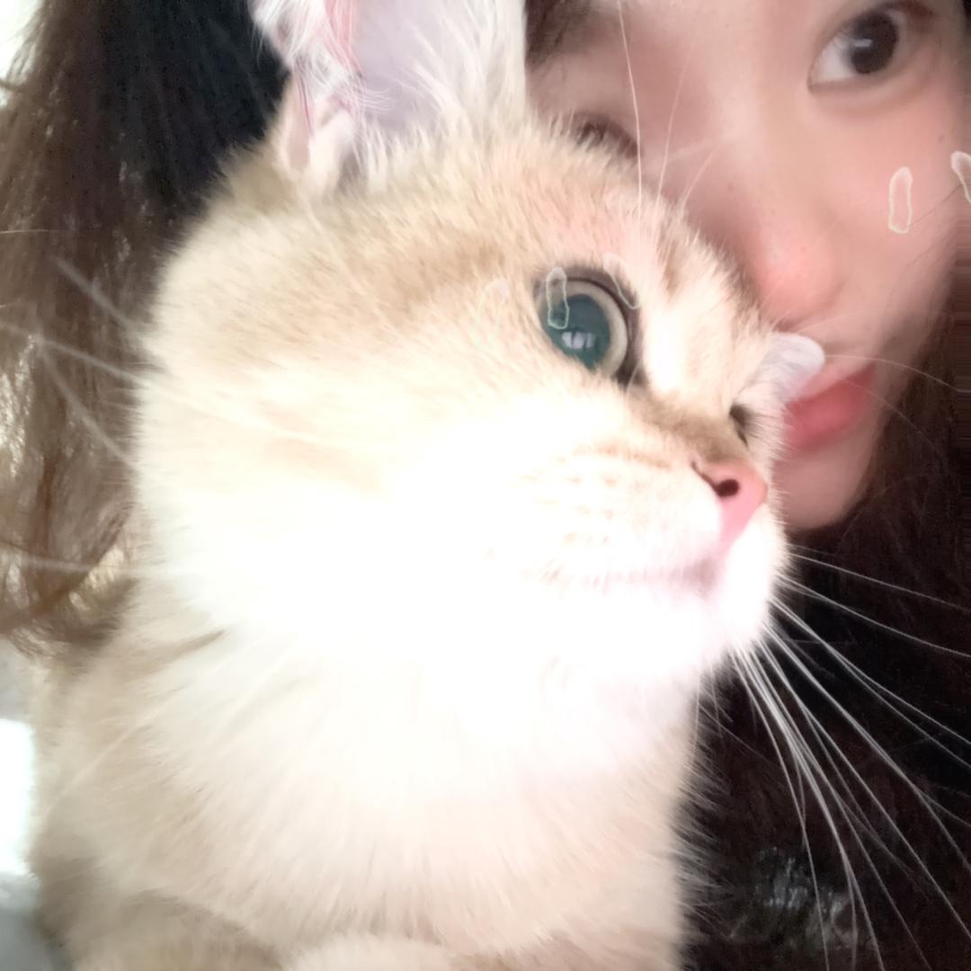 今天莓喝牛奶