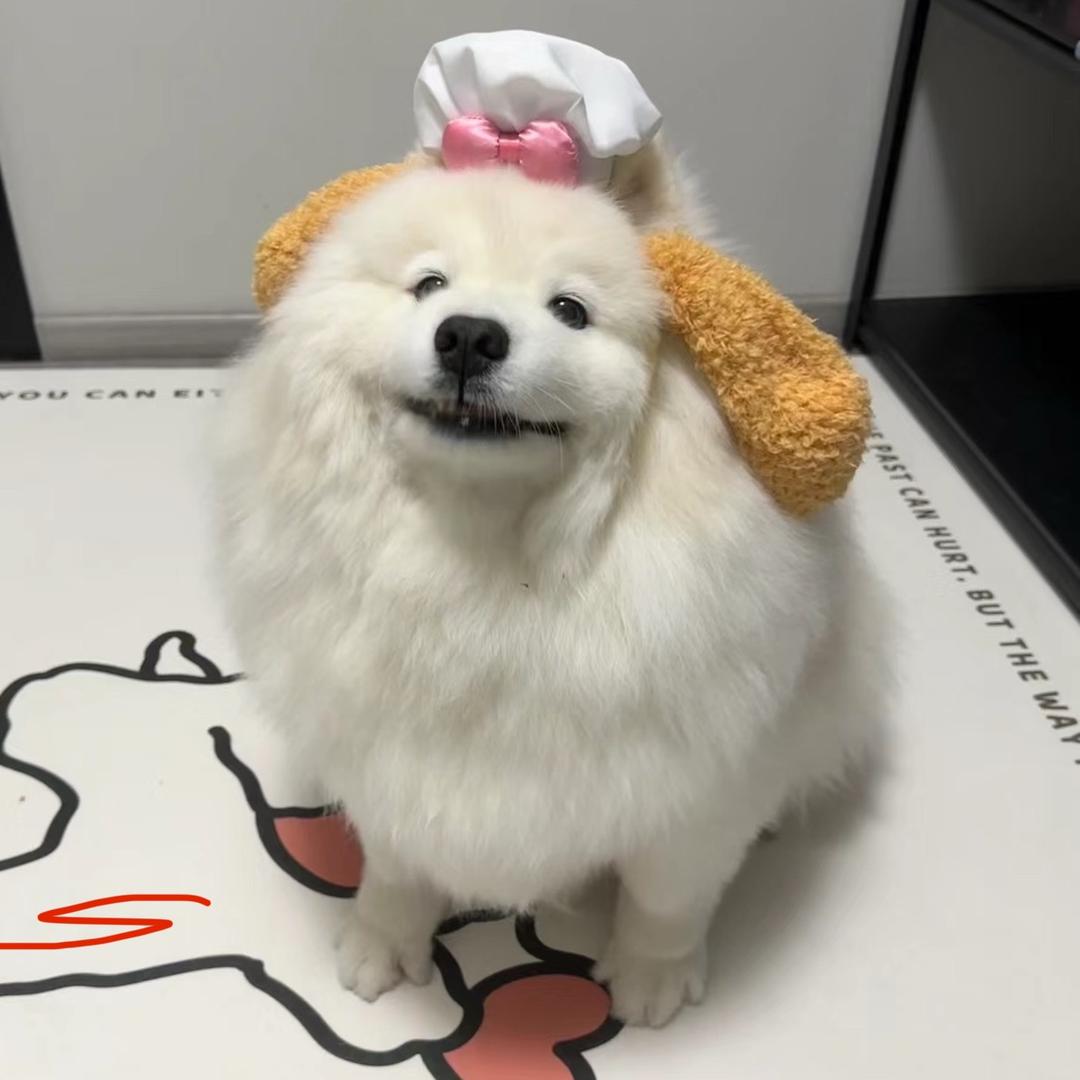 Yan2