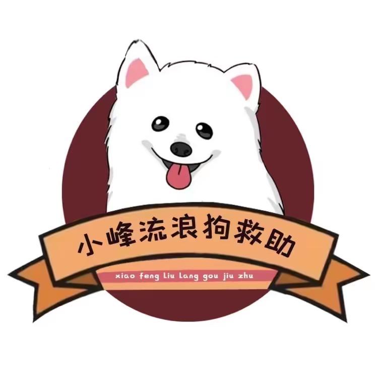 小峰与流浪狗