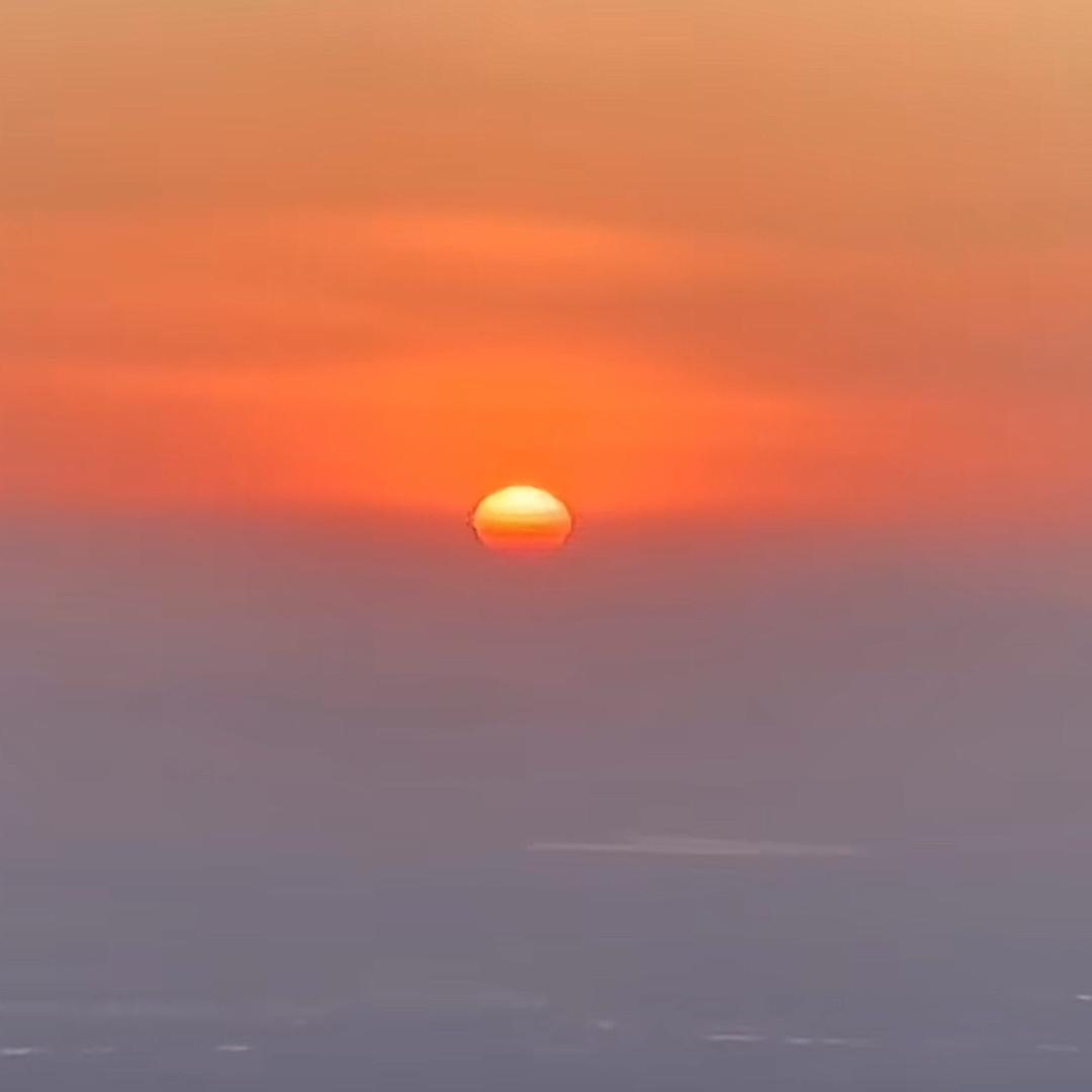 一只血灵（作家版）