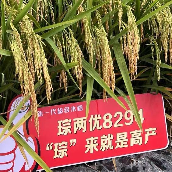 固始县辉煌种业