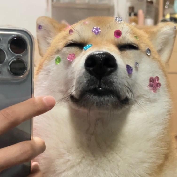 开不开心呀