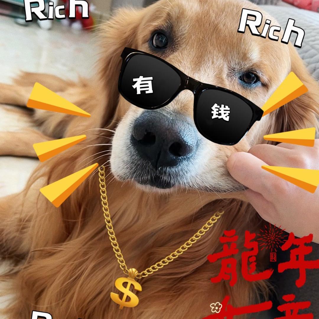 一只可爱的土拨鼠