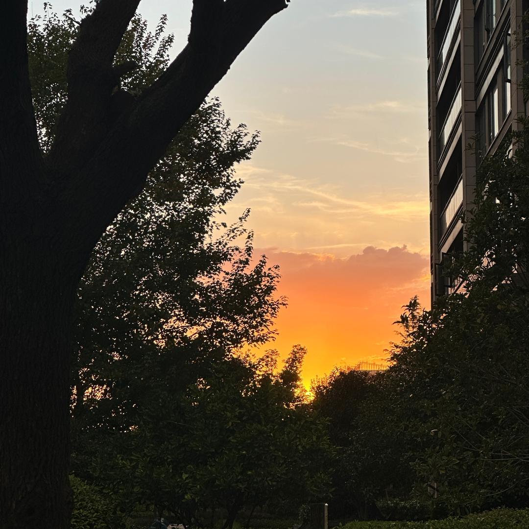 卡卡爱吃锅包肉