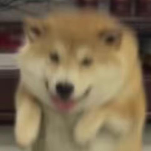 神奇阿白