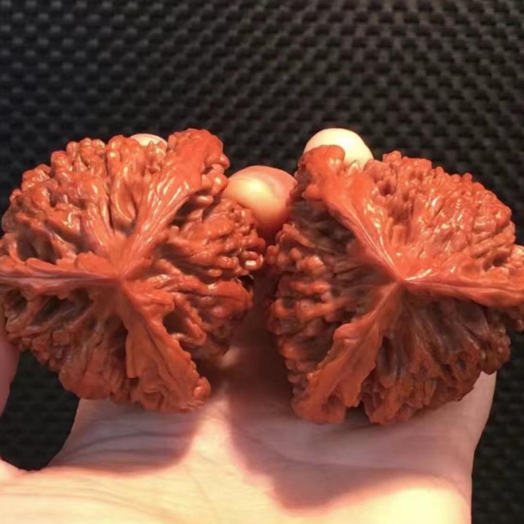 痴梵麻核桃