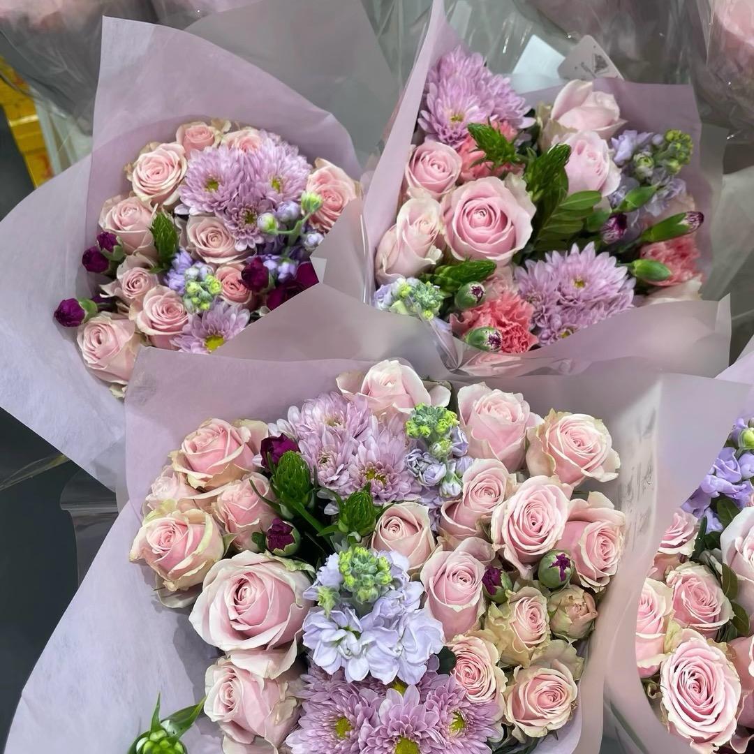 月亮上的垂耳兔