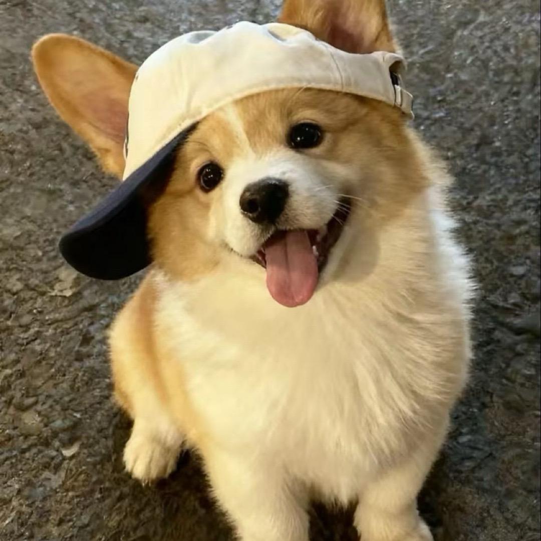 好看到爆
