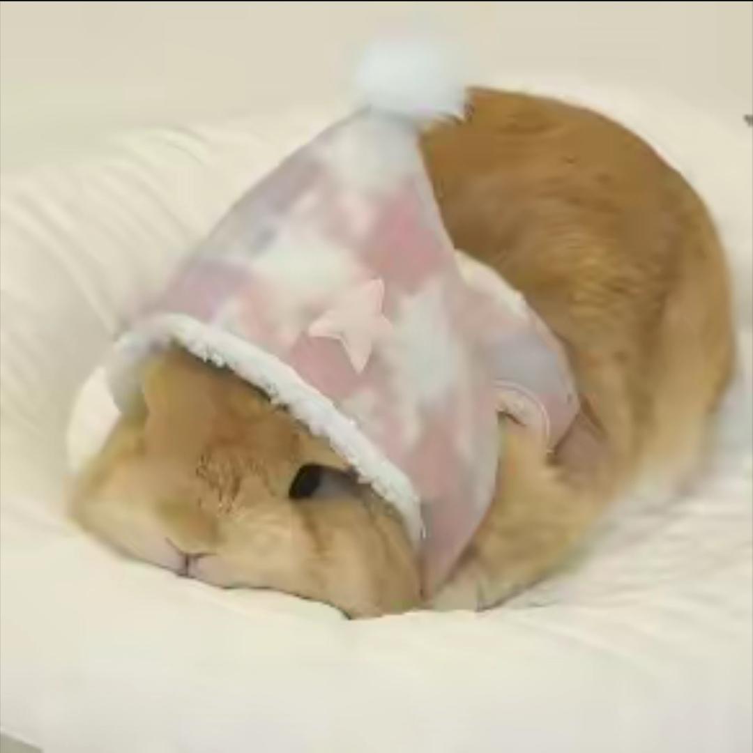 6077