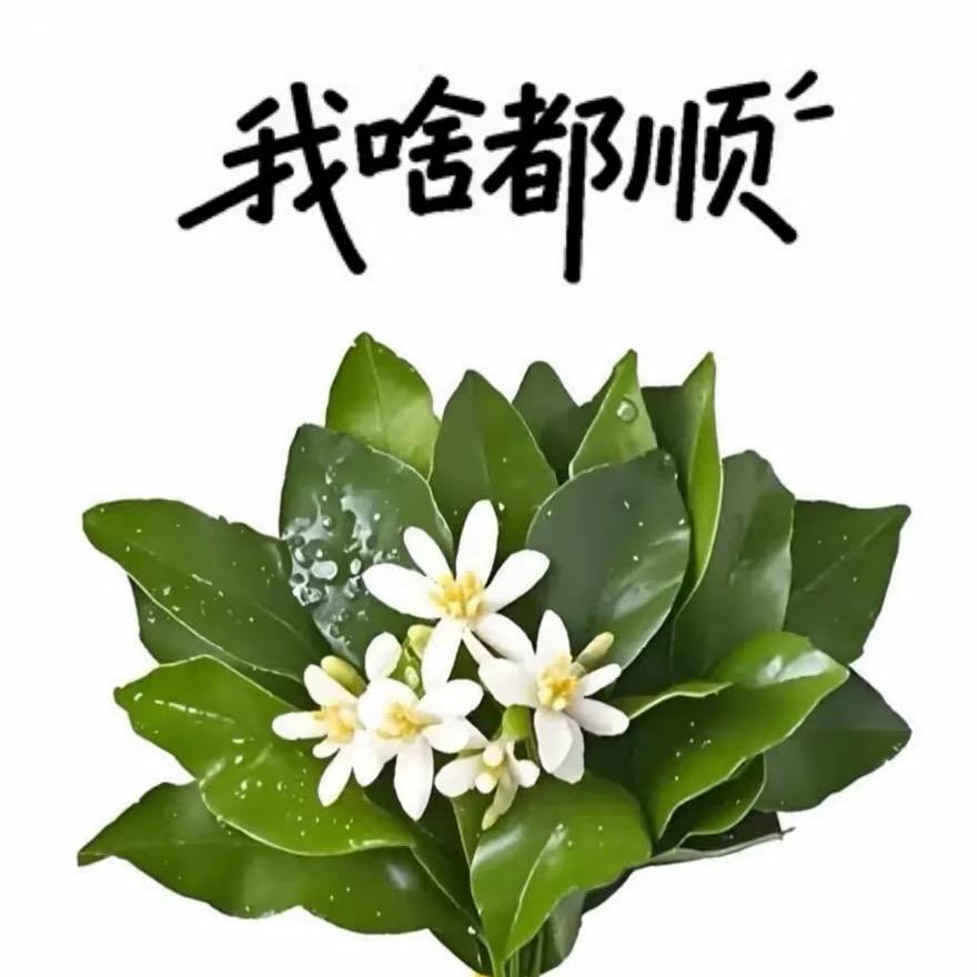 好运年年