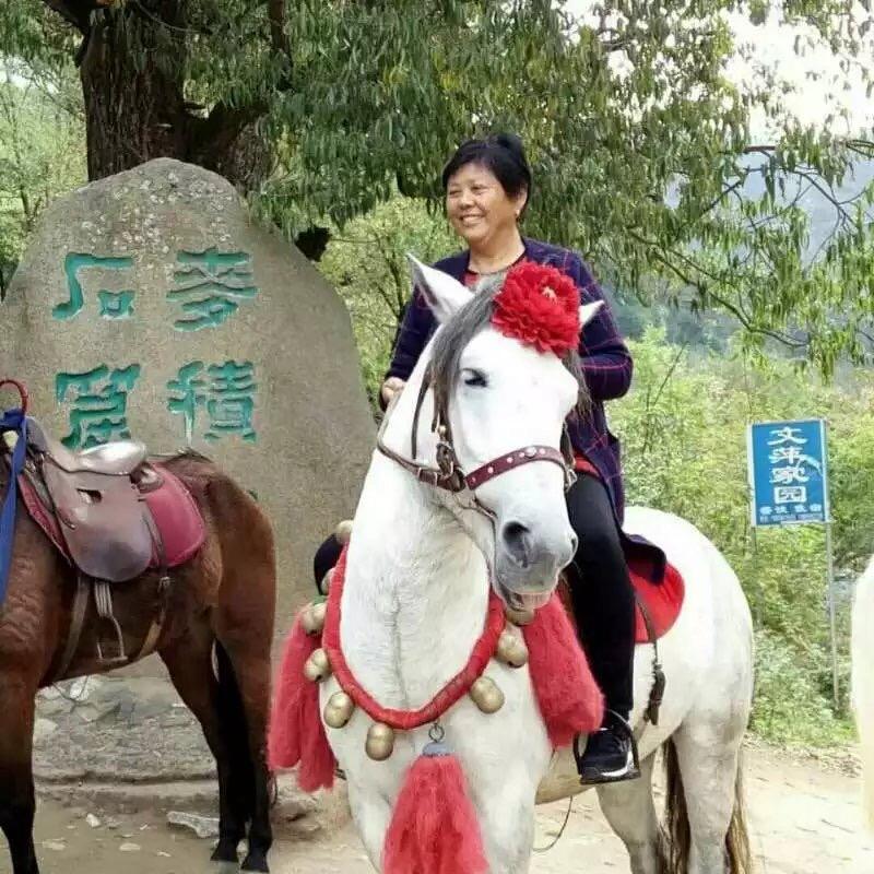 孙书年