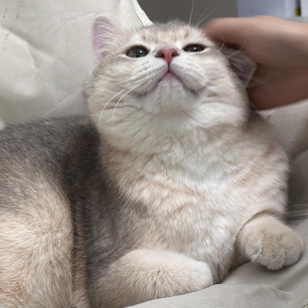 彭于晏bb