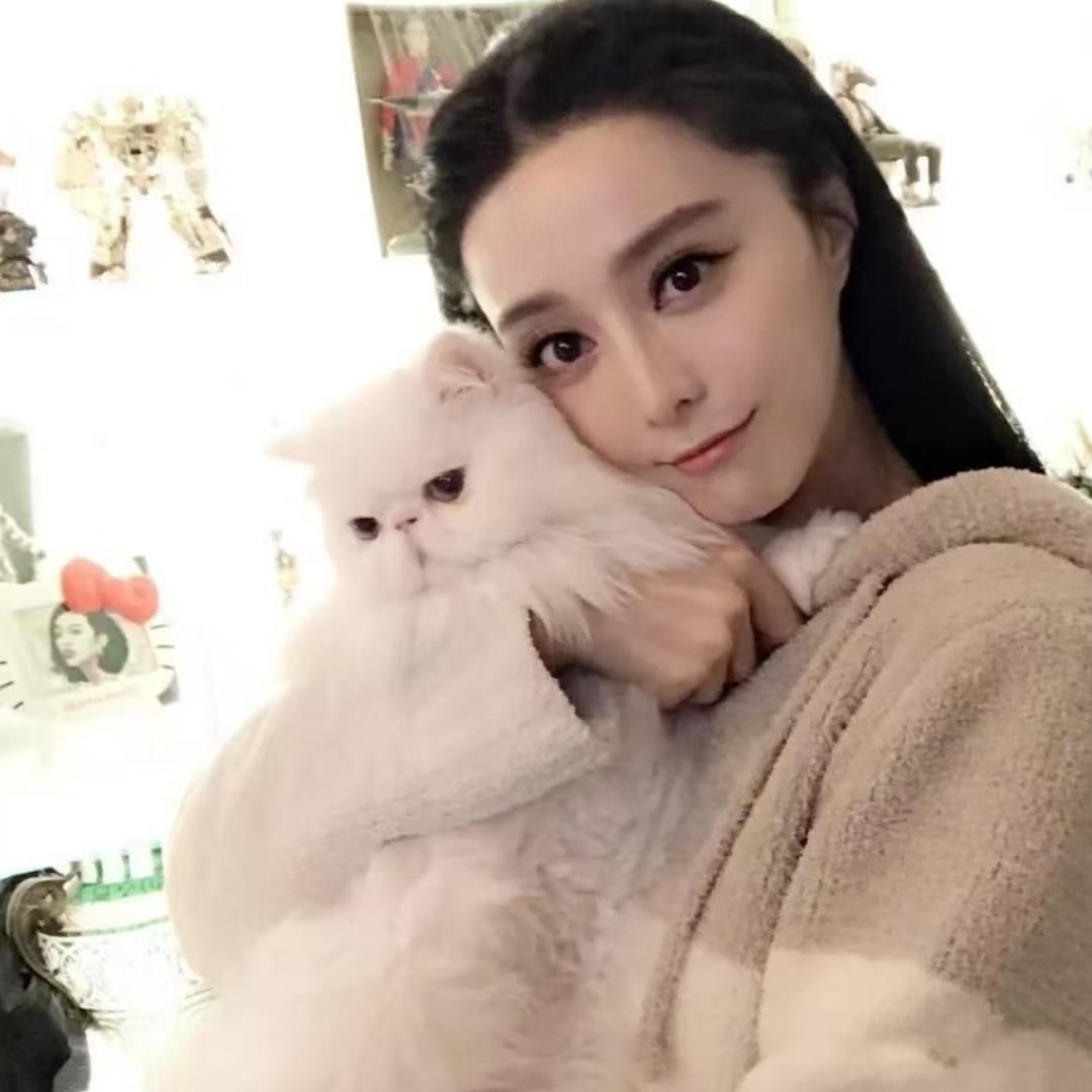 小茶_