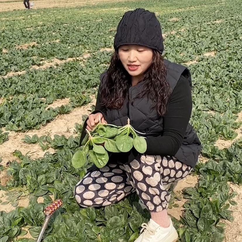 凤姐乡土果蔬精选