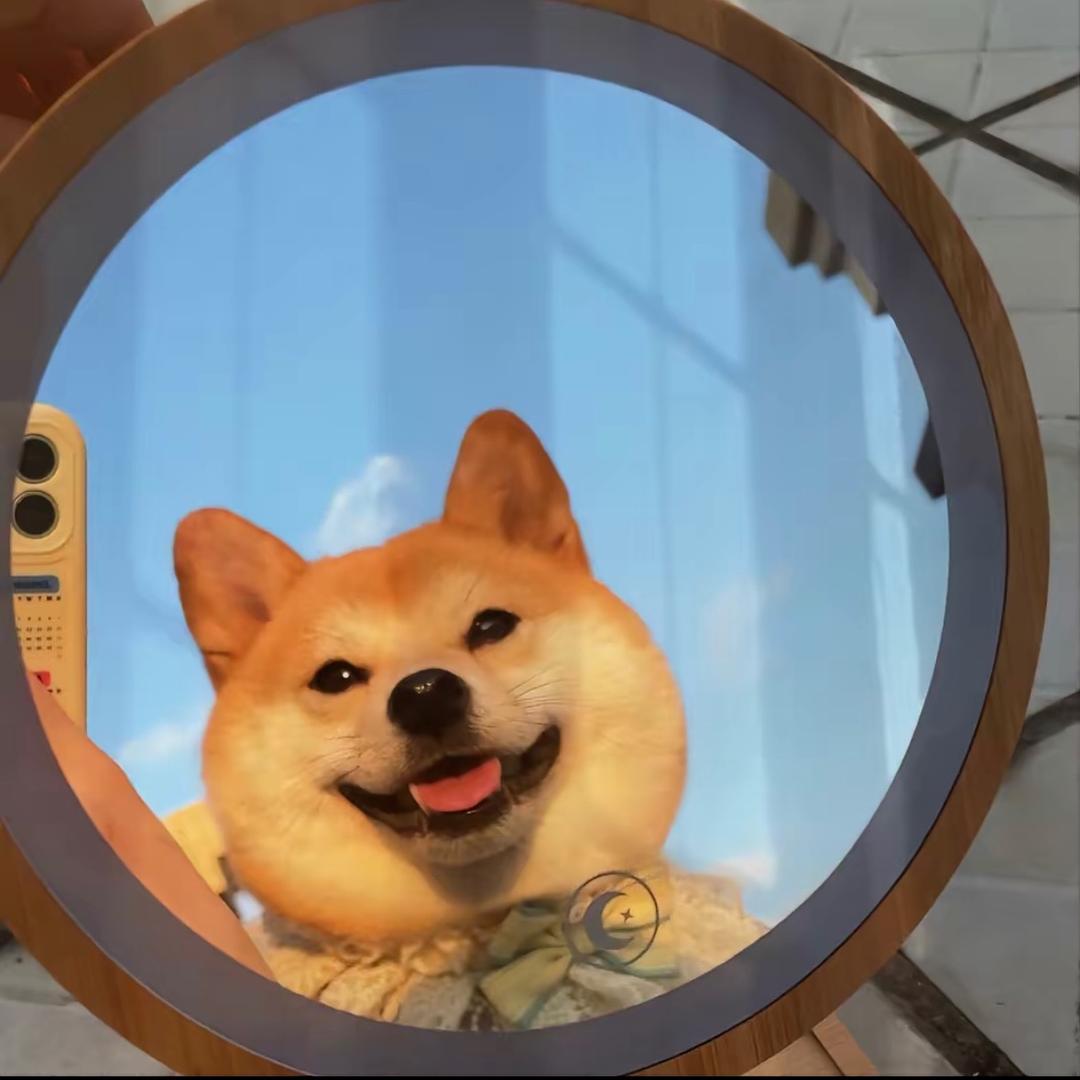 大晗