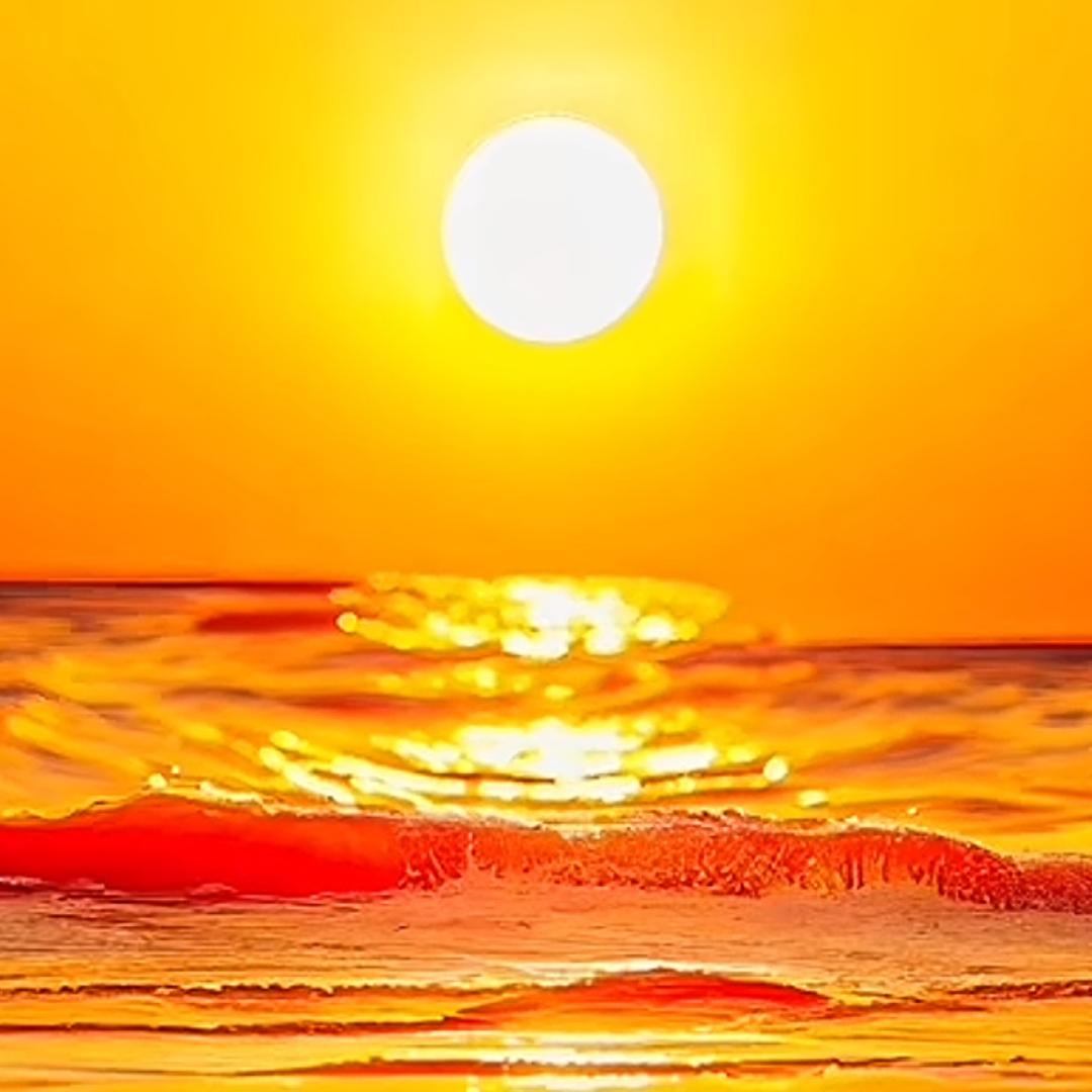 🌈小龙虾🦞🌈