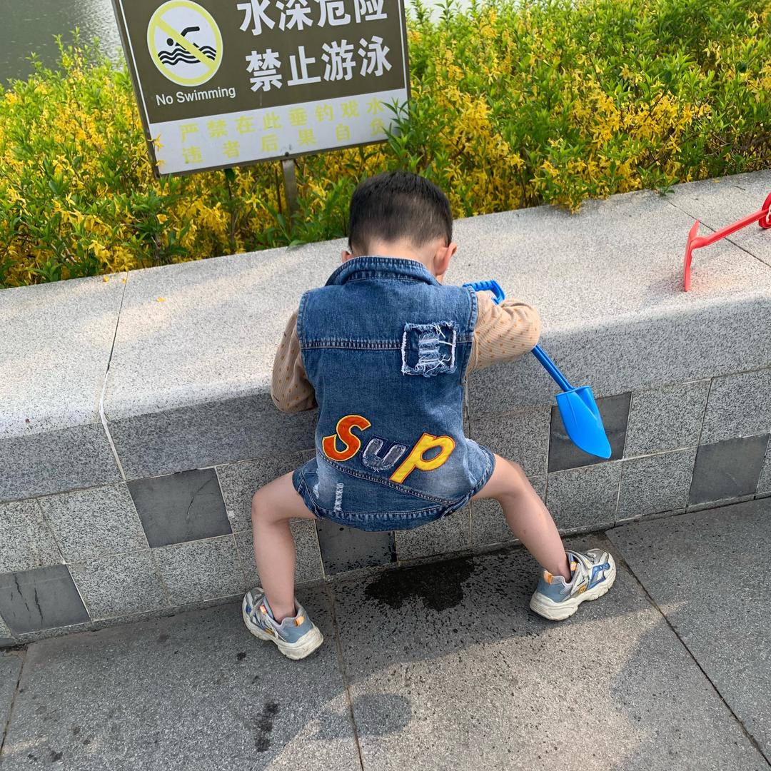 肥飞