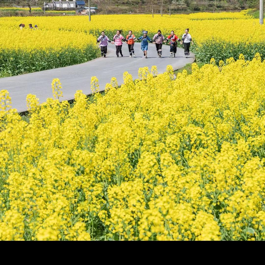 无聊小神仙