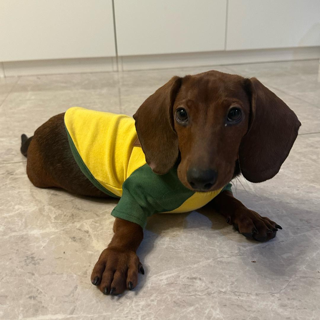 华文跨境-维尼尼