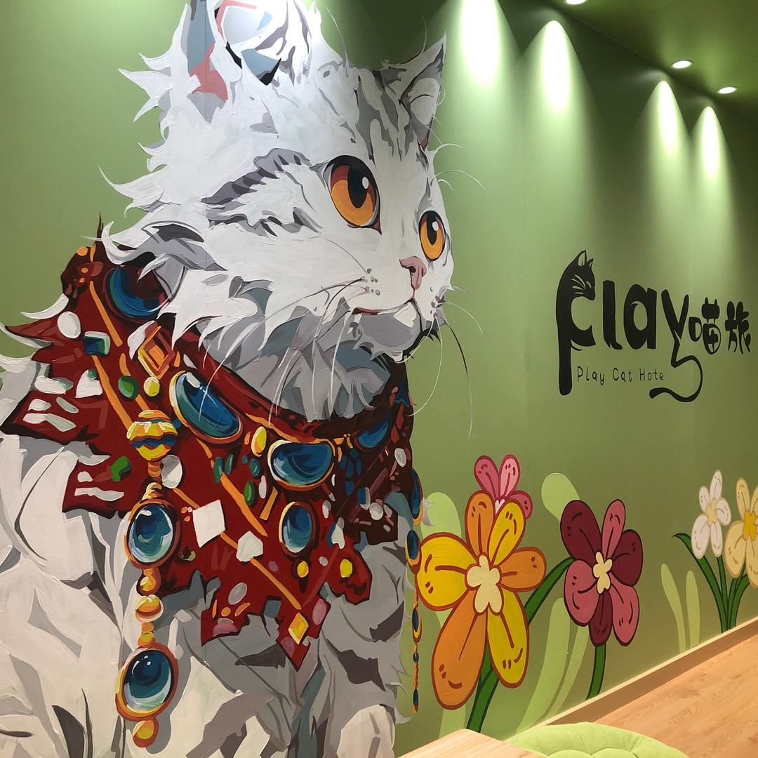 中山市喵旅撸猫馆