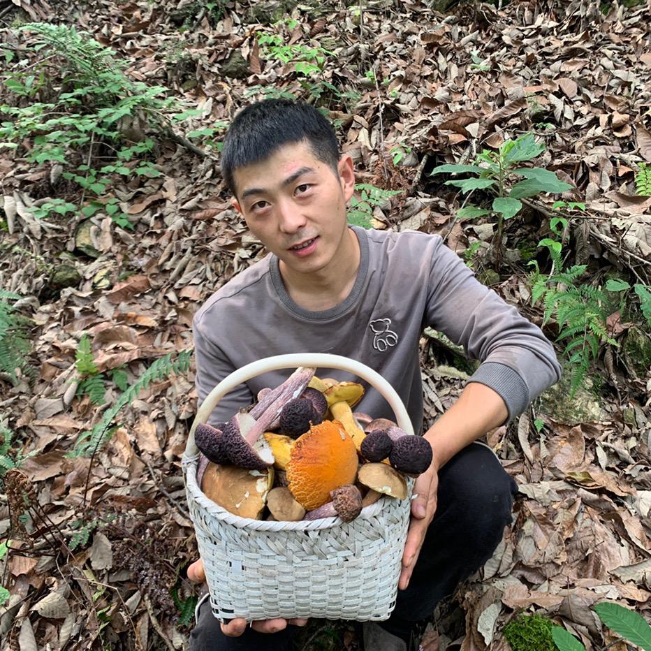 川农小韩