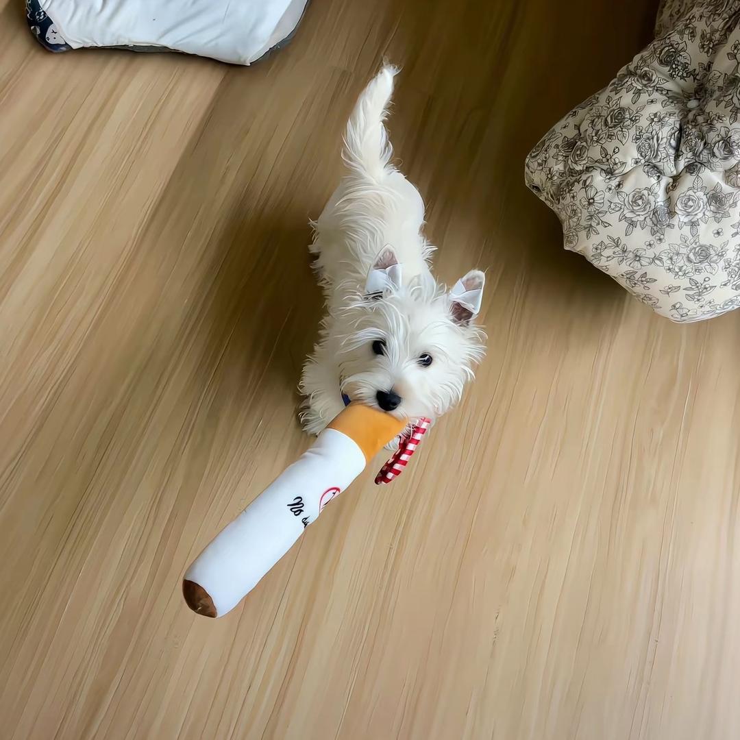 耶耶