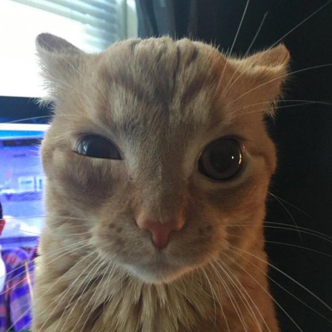 🌈福福福运当头