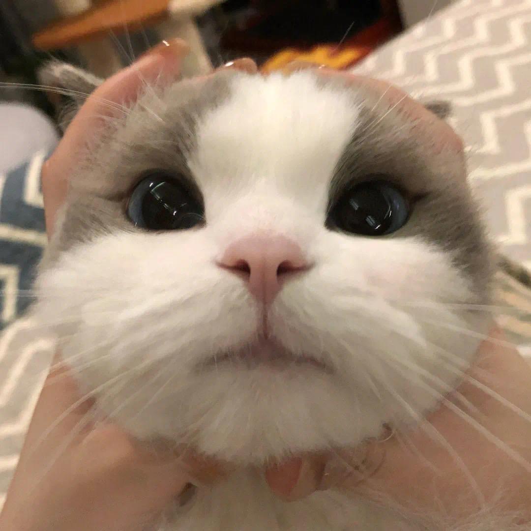 再讲我就露露脸