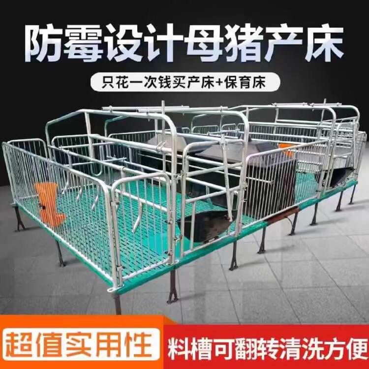 河北养猪设备大全