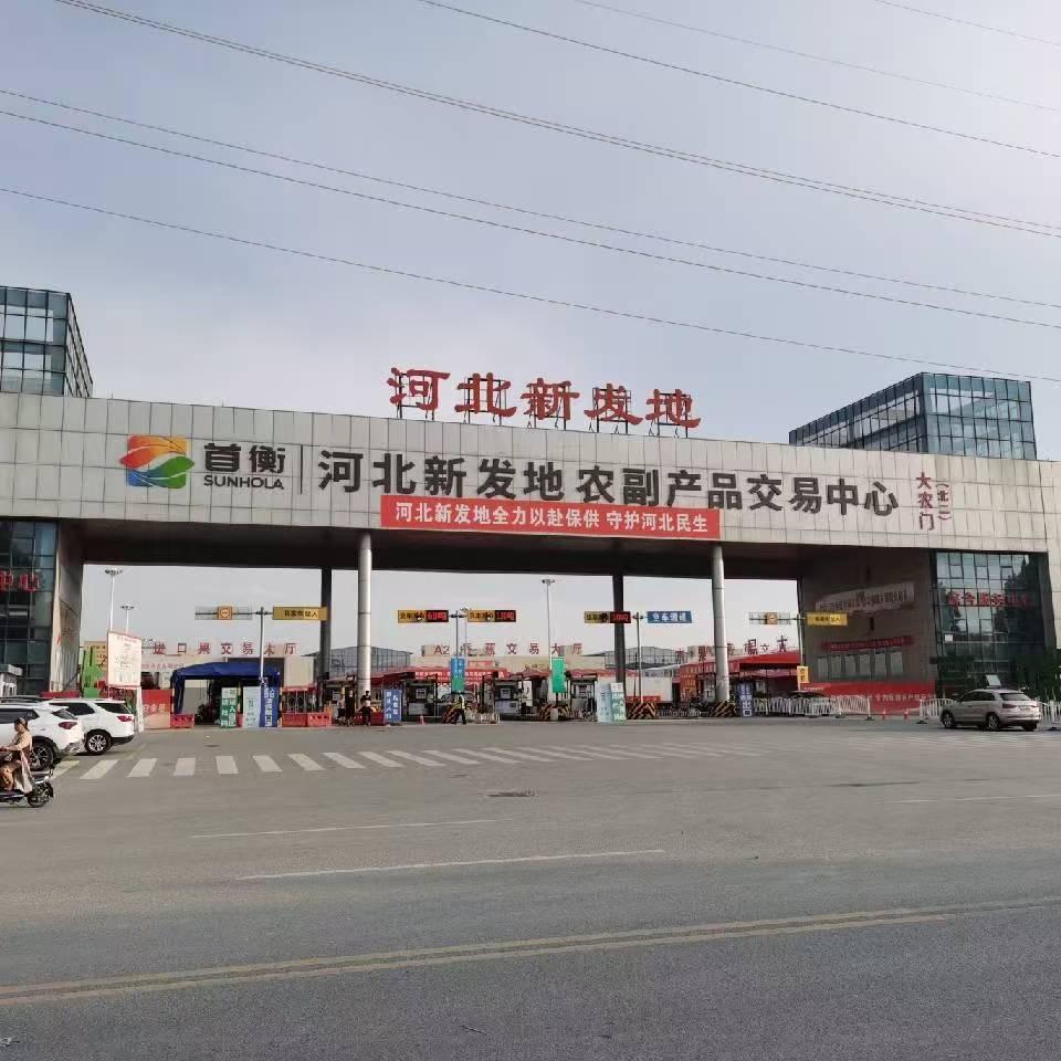 首衡小磊甄选