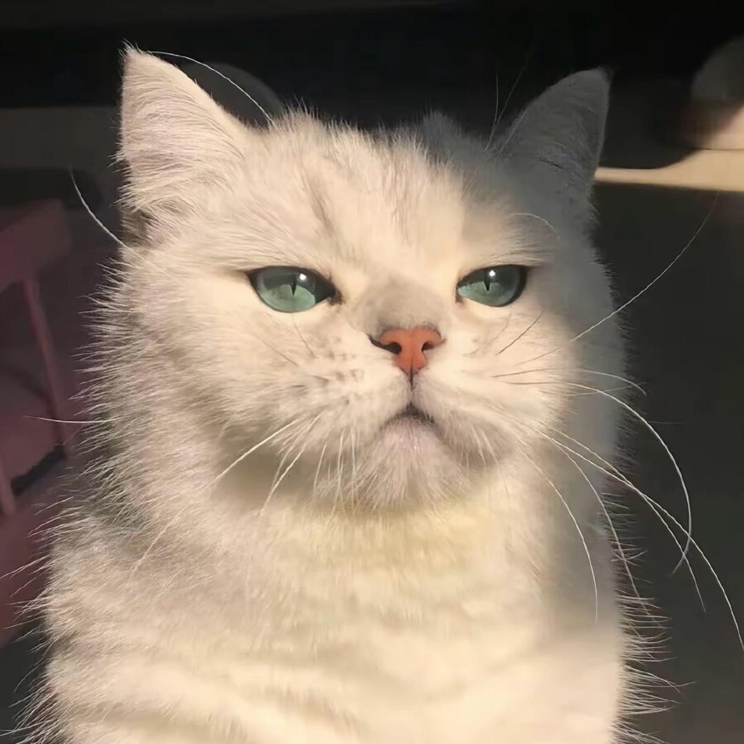 柚仕琳