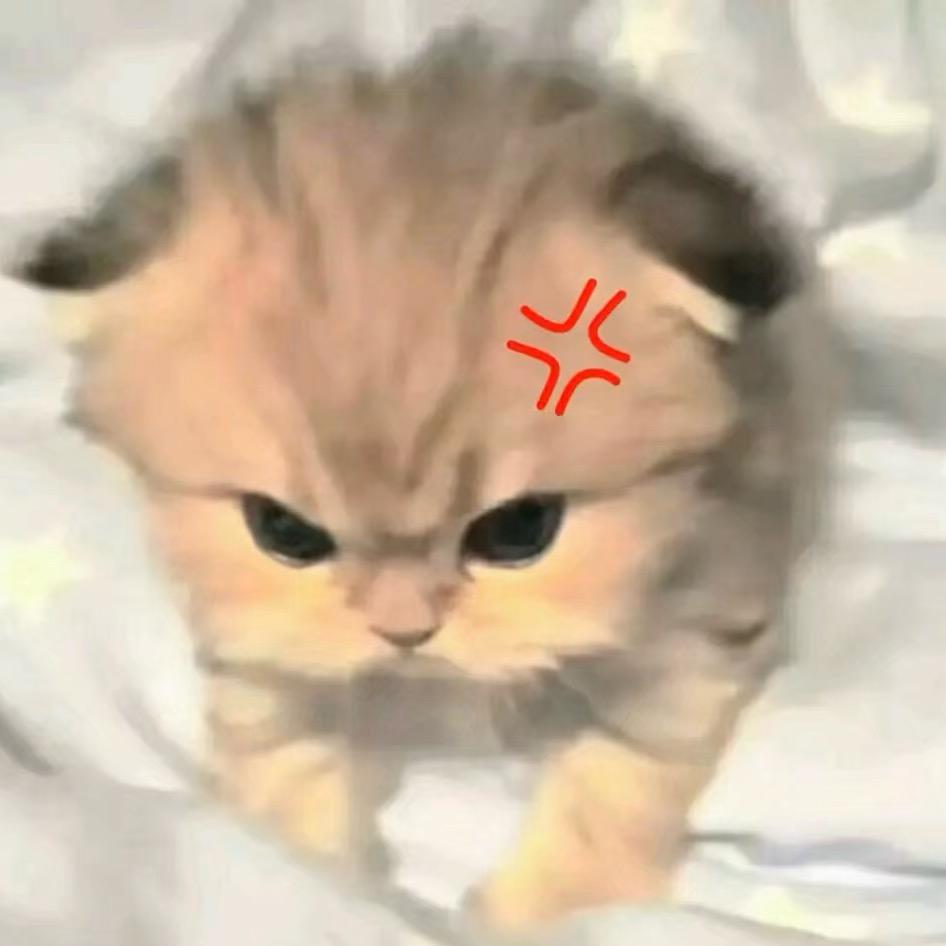 月雅