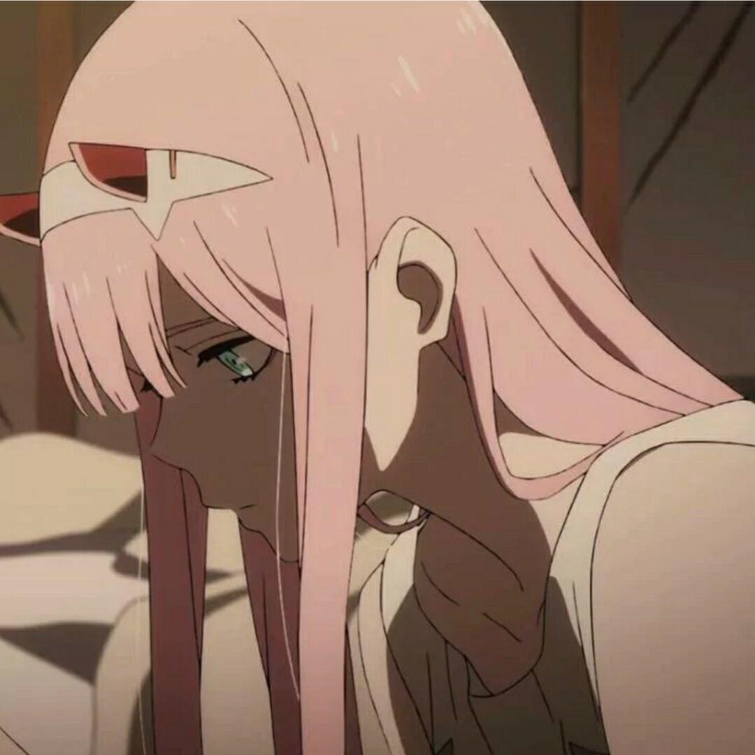 土豆侠