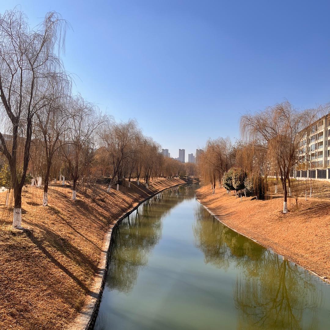 小劳工厂 严选